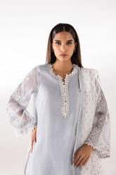 Stitched Embroidered Cotton Net Shirt + Dupatta